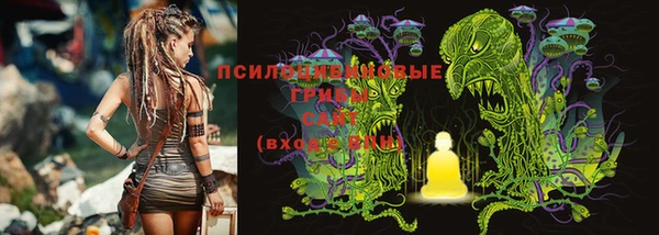 бошки Аркадак