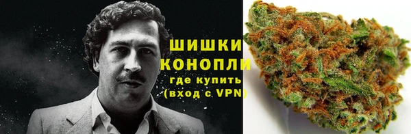 бошки Аркадак