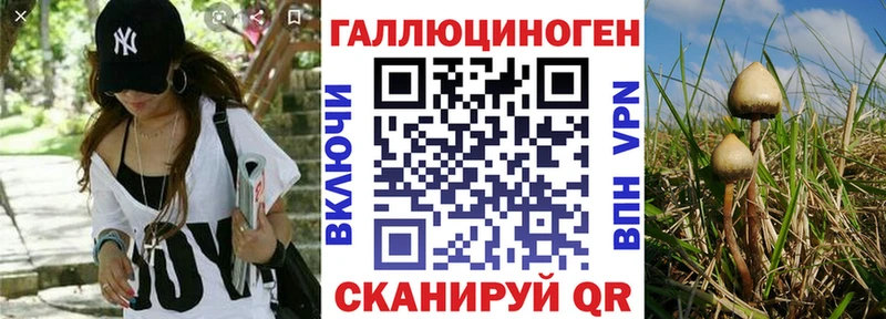 Псилоцибиновые грибы ЛСД  ссылка на мегу ТОР  Бакал 